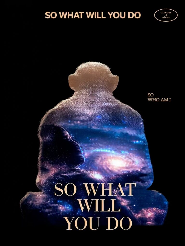 《so what will you do》